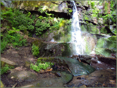 Fairy Glen, Appley Bridge