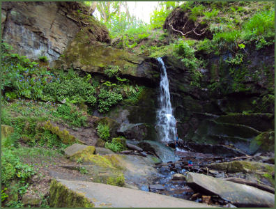 Fairy Glen