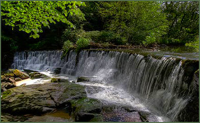 River Darwen Weir