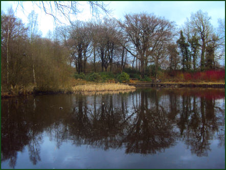 Haigh Country Park