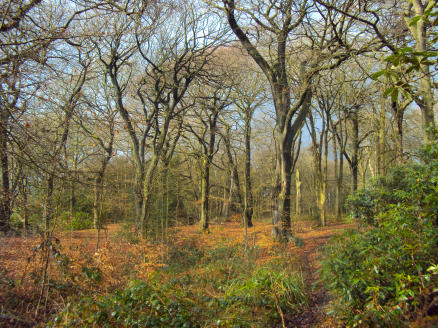 Haigh Country Park