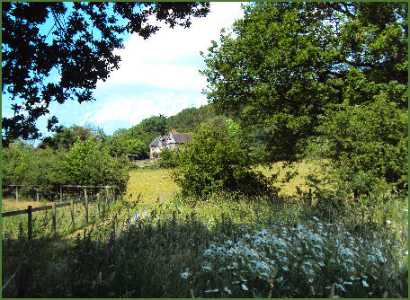 Alvanley Sandstone Trail