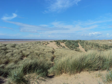 Ainsdale Sand Dunes