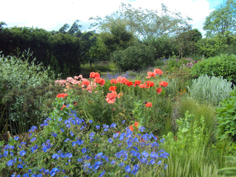 Bluebell Cottage Gardens