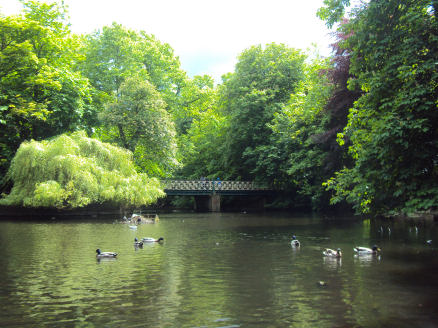 Churchtown Botanic Gardens