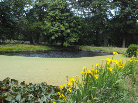 Croxteth Country Park