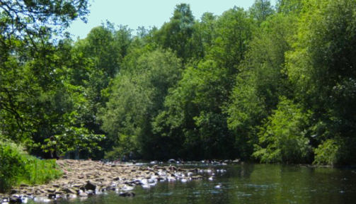 River Wyre, Garstang