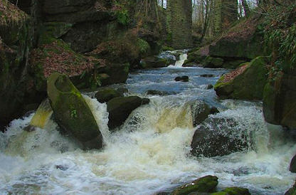 Healey Dell