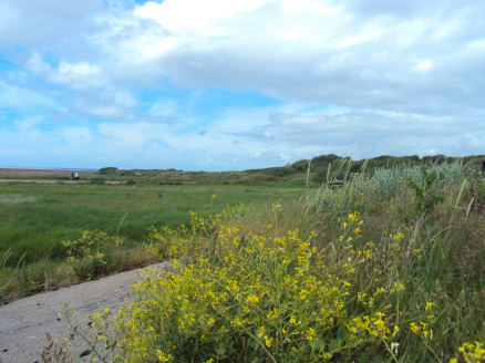 Marshfield RSPB Reserve