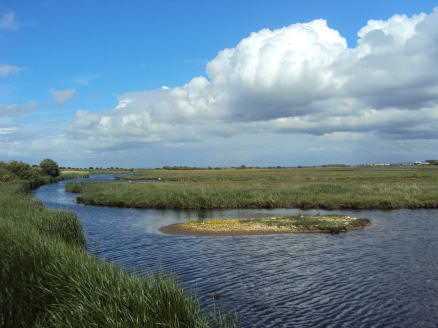 Marshfield RSPB Reserve