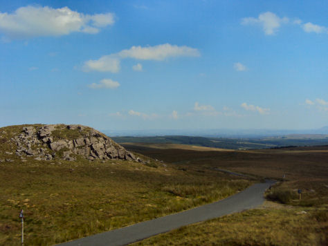 Gisburn Forest