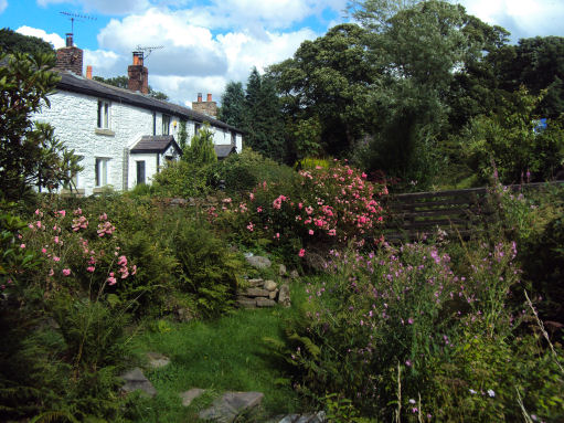 White Coppice