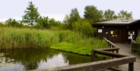 Mere Sands Wood