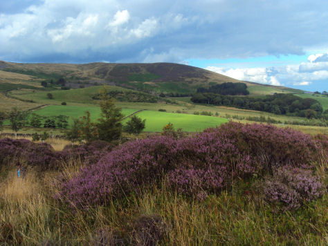  The Pendle Witches