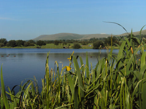 Pendle Hill