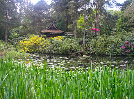 Tatton Park Japanese Garden