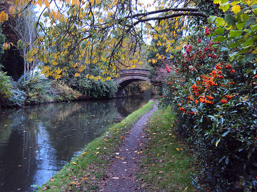 Bridgewater Canal