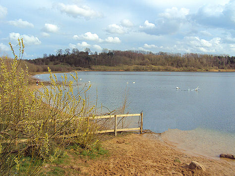 Astbury Mere