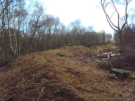 Woodhouses Iron Age Hill Fort