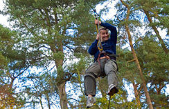 Go Ape at Delamere