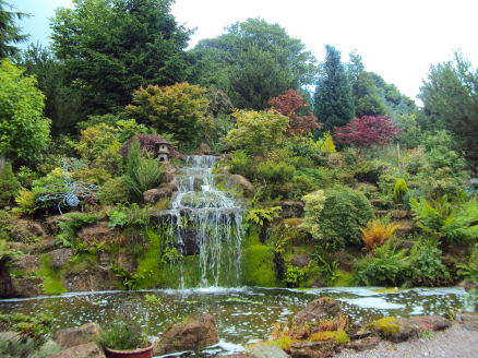 Mount Pleasant Garden- Japanese Garden