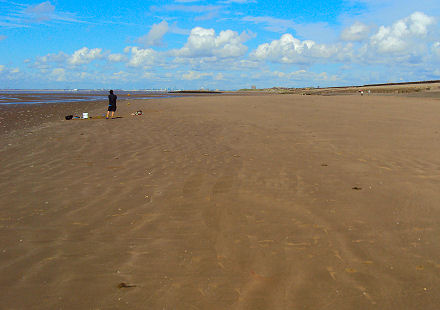 Meols