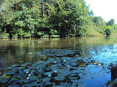 Sankey Valley Park