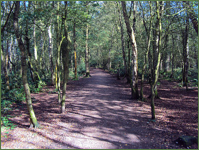 Brereton Heath Country Park