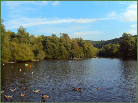 Etherow Country Park