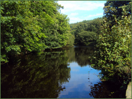 Etherow Country Park